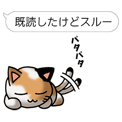 Tortoiseshell cat Pochi(Japanese)
