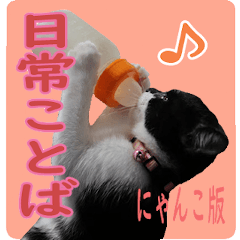 Cat image sticker