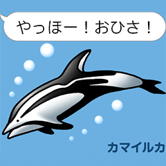 Aquatic organisms Sticker(Japanese)