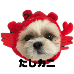 kiriman_20200318224359