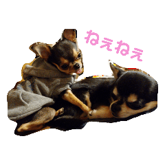 hana_20200318203610