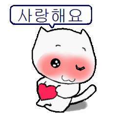 メッセージ猫 韓国語 Line スタンプ Line Store