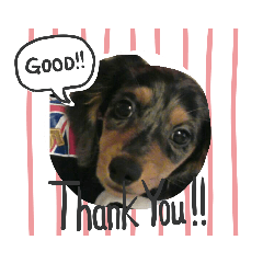 sherry_20200318224355