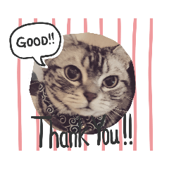 saori_20200318224454