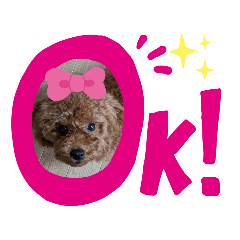 momokururu_20200319002125