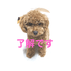 momokururu_20200318235847