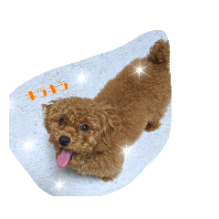 momokururu_20200319000106