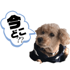 kayo_20200319000129