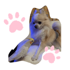 hana_20200319085502
