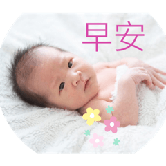 柏邑baby