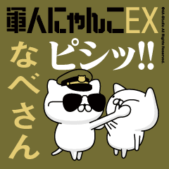 "NABE-SAN"name/Movie Military cat