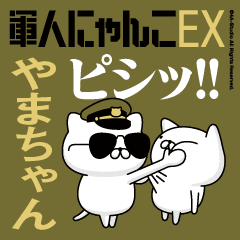 "YAMA-CHAN"name/Movie Military cat