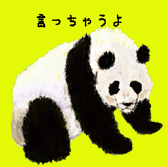 panda-han