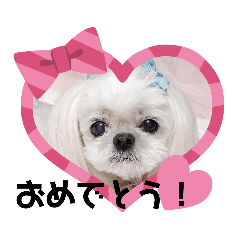 love_kn20200319144716