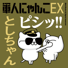 "TOSHI-CHAN"name/Movie Military cat