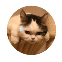 matsu_20200318223104