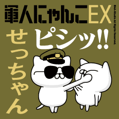 "SECCHAN"name/Movie Military cat