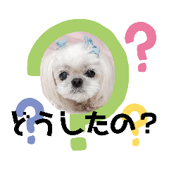 love_20200319135246nana