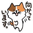 お誕生日 面白いメッセージスタンプ Line スタンプ Line Store お誕生日 面白いメッセージスタンプ Line スタンプ Line Store