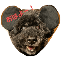 ringo_20200319190328