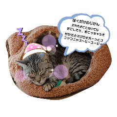 alice_20200319210147