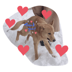 ayumi_20200319210505