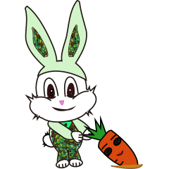 Camouflage rabbit &  carrots