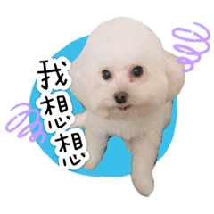 咪兔家族