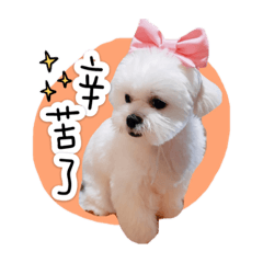小波比……是我