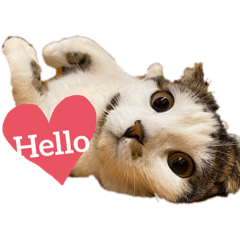 asako_20200320013140