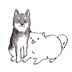Black-and-white dogs