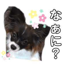 TEN's everyday part2.