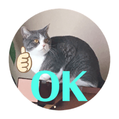 yukari_20200319194619