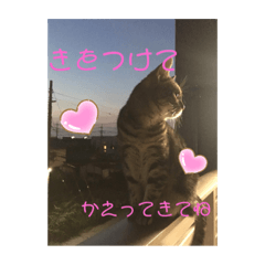 marumaru_20200319200021