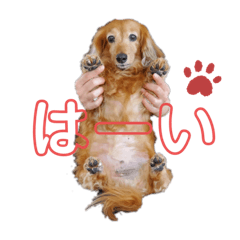 sawatoanzu