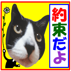 sticker japan cat&gin Photo version12