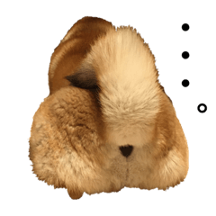 vivi_20200319230826