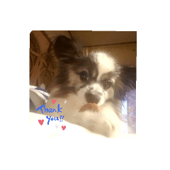 asuka_20200320011144