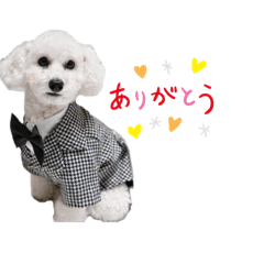 ボブのすたんぷ