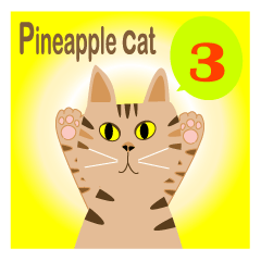 Pineapple cat 3