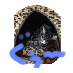 michiko_20200320021957