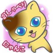 Chattering cat Chattering cat