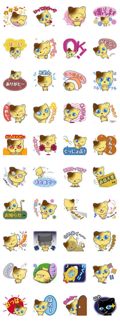 Chattering cat Chattering cat