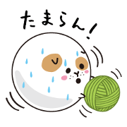 ROUND1's BOWLING BALL CAT ROUND1's BOWLING BALL CAT