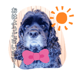 hikari_20200320153513