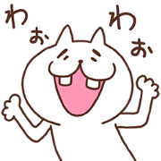 Foolish cat Foolish cat