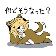 Dog wear uncle Dog wear uncle