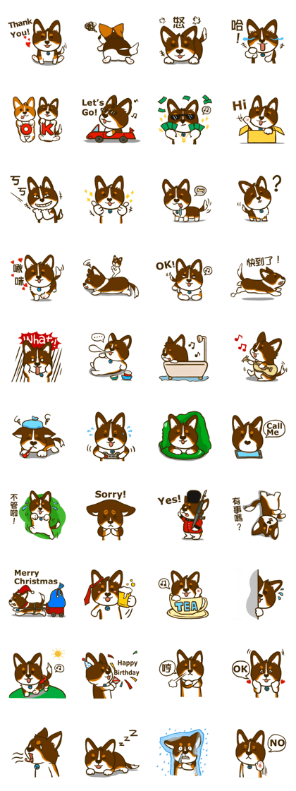 Love Corgi (Cute tricolor) Love Corgi (Cute tricolor)