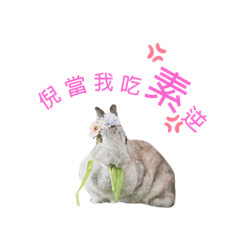 不發威泥當我肥肥是病貓啊