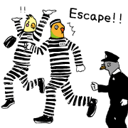 prisoner birds